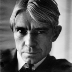 Blemish'd Muse - IV. I Sang