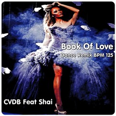 Felix Jaehn - Book Of Love (cvdb Remix)
