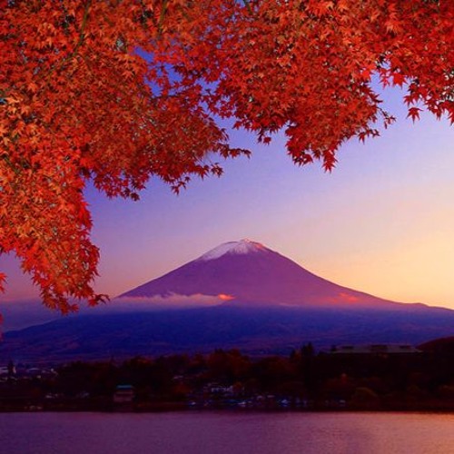 ホ - Y A M A M O T O - ホ