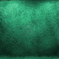 Raptor Negro - La Ecológica