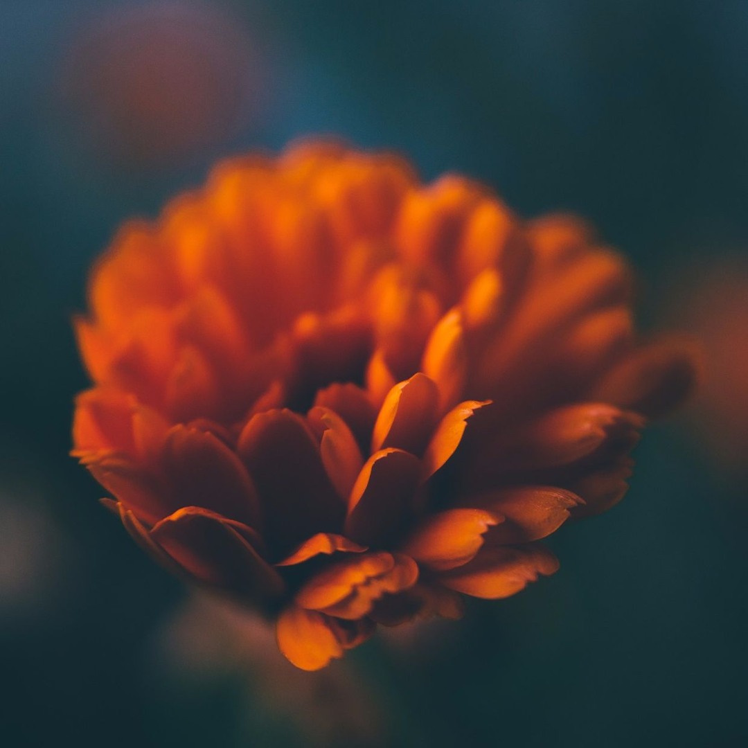Stream Ambient Music Channel | Listen to Ambient Mix Vol.5 playlist ...