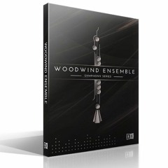Dirk Ehlert -Between Space and Time - SSeriesWoodwind Ensemble