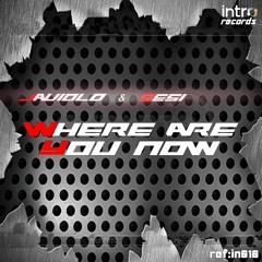 Where Are You Now ( Javiolo & Sesi Remix )