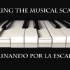 Walking the Musical Scale - Caminando Por La Escala