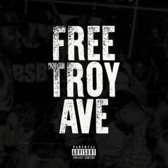 TROY AVE TYPE BEAT