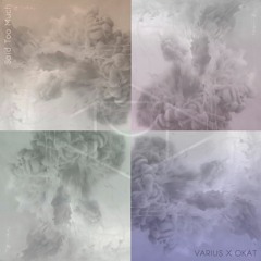Varius X OKAT - Said Too Much
