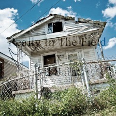 Really In The Field - Lil Saint