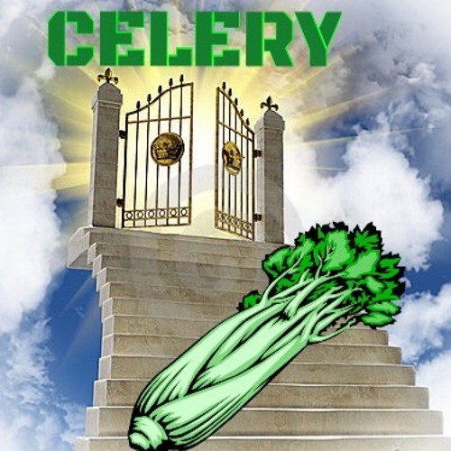 CELERY