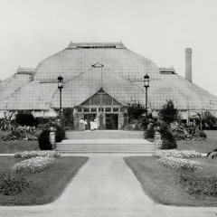 SINGLETRACK: Tim Daisy, 'The Glass House'
