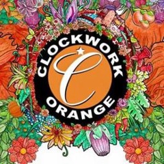 Clockwork Orange at WE ARE FEST 2016