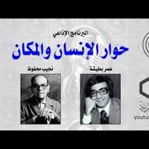 نجيب النجيب