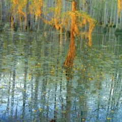 sMasH HipS - Tropics Grotto Mix