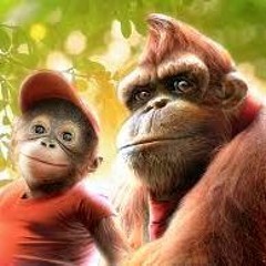 Got to be Donkey Kong