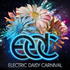 Road Trippin EDC Las Vegas 2016 Warm Up Mix