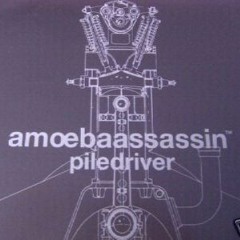Amoeba Assassin Vs. Schweizer - Piledriver Era (Kenneth Thomas Sound - Bar Mashup)