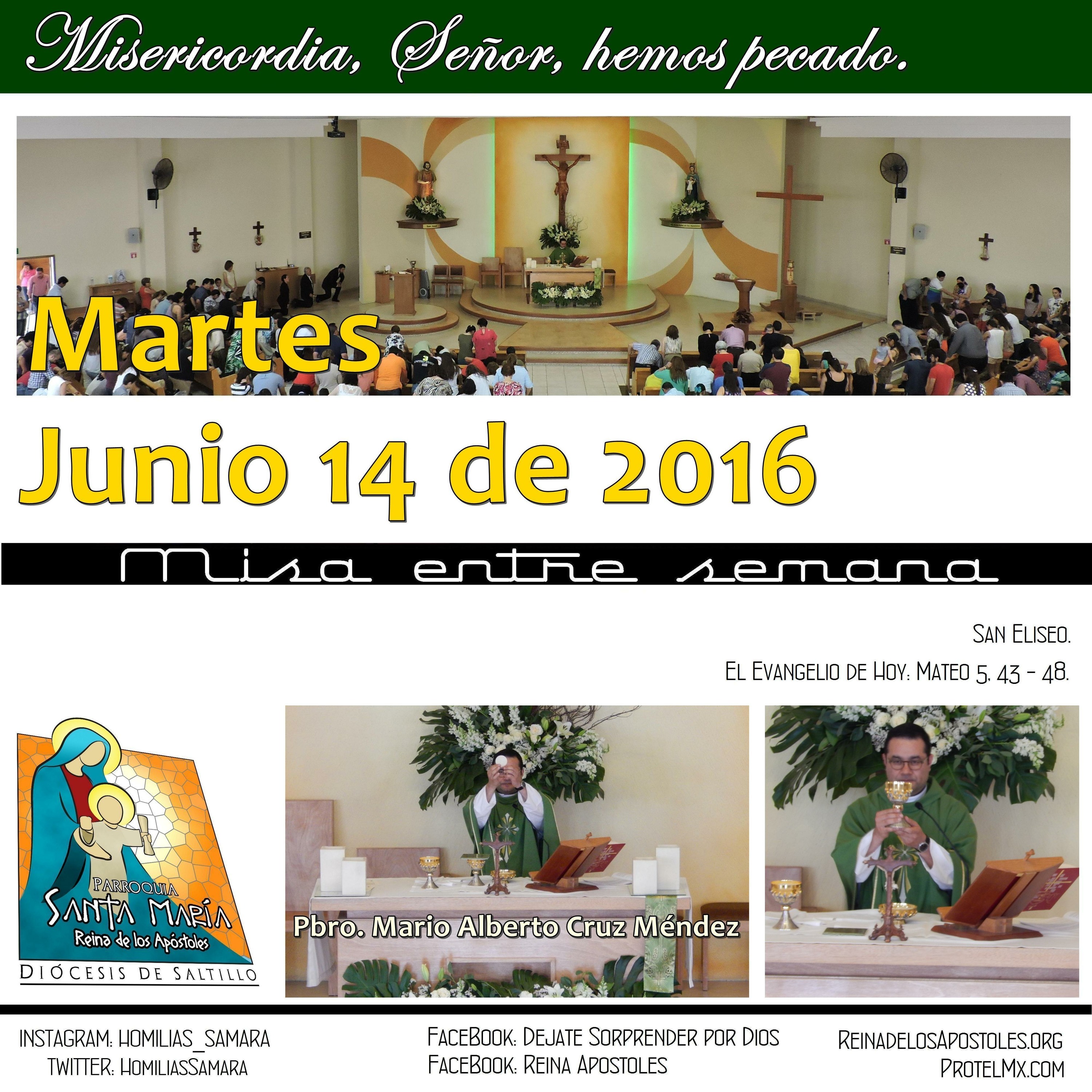 SAMARA_Saltillo #2019