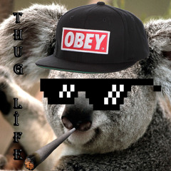 J0hn C011ins X Jack Roberts - Hollarin