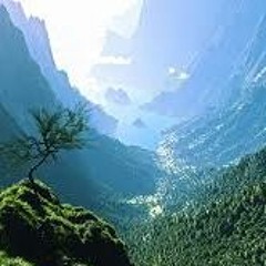 Forest Hills (prod. by PARTY 808)