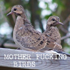 Fucking Birds (FREE DOWNLOAD)
