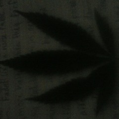 Sounds from Wednesday night