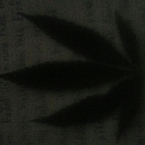 Sounds from Wednesday night