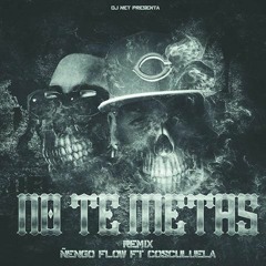 Ñengo Flow Ft Cosculluela – No Te Metas (Remix)