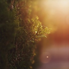 June 2016 | Playlist