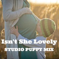 【Stevie Wonder】 Isn't She Lovely 【STUDIO PUPPY MIX】