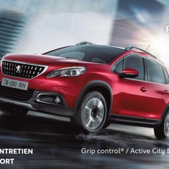 Spot Pub - Peugeot 2008, Gerald Bertin Autos (Paul, DIFFPROD)
