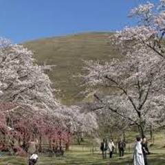 ケツメイシのさくらの歌詞を全て類義語で歌う