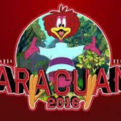 Aracuan 2016