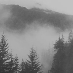 Kollektiv Turmstrasse - Deine Distanz (Shaam Edit)