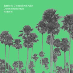 1. Territorio Comanche ft. Puloy - Cumbia Resistencia