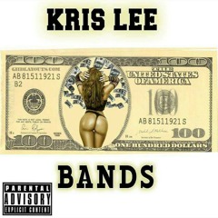 Kris Lee - Bands