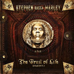 Stephen Marley ft. Shaggy - So Strong [Revelation Pt.II: The Fruit of Life | GhettoYouthInt'l  2016]
