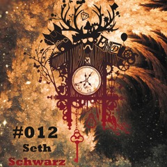 Endlos Podcast #012 - Seth Schwarz