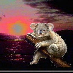 Dubstep Koala
