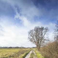 Virgil Vait - Childhood dream