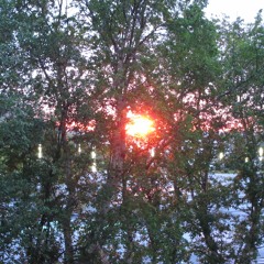 St. Pixie - Word To You