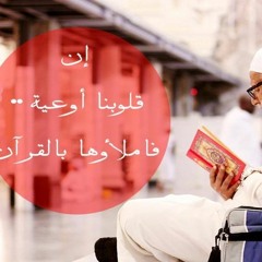 شغلتني الحياة - ألبوم قلبي محمد - مشاري راشد العفاسي