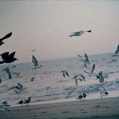 آيات و إبتهالات