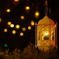 لحظاتٌ يُزهى بِهنَّ الزّمانُ الشيخ سيد النقشبندى