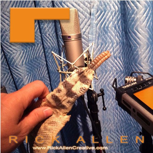 Stream RATTLESNAKE rattles (Free SFX Download) by RickAllenCreative Stream RATTLESNAKE rattles (Free SFX Download) by RickAllenCreative