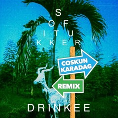 Sofi Tukker - Drinkee (Coskun Karadag Remix)