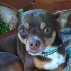 Thursday instrumental porch cell phone windy humid