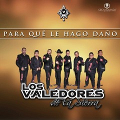 Los Valedores De La Sierra - Para Qué Le Hago Daño