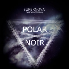 Polar Noir