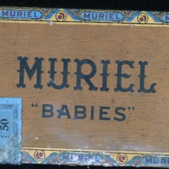 Muriel