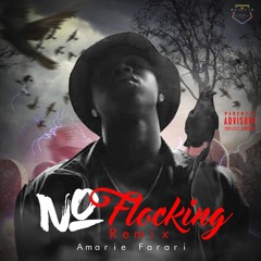 No Flocking Remix