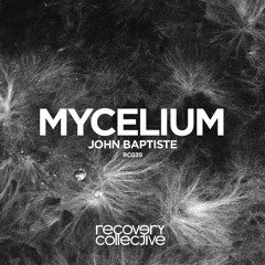 Mycelium (Original mix)